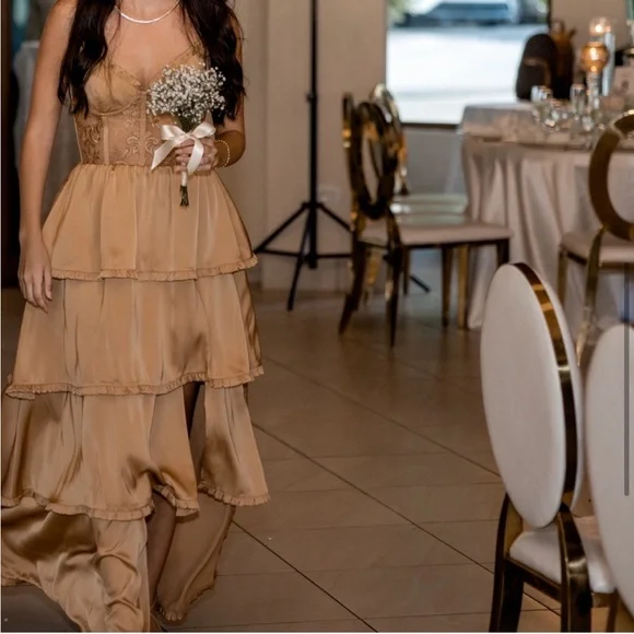 V. Chapman Desert Tan Layered Dress - Picture 5 of 12